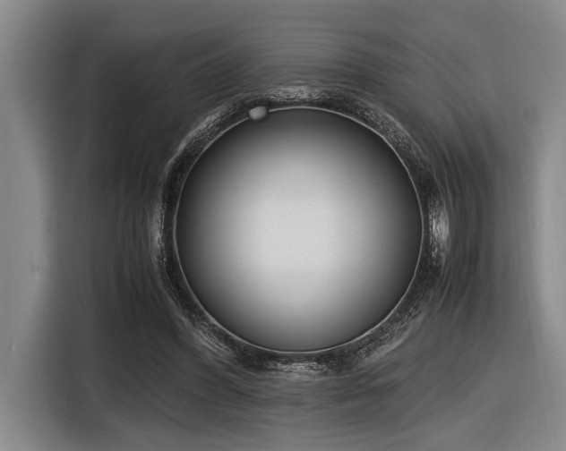 X0000116600396200912111118