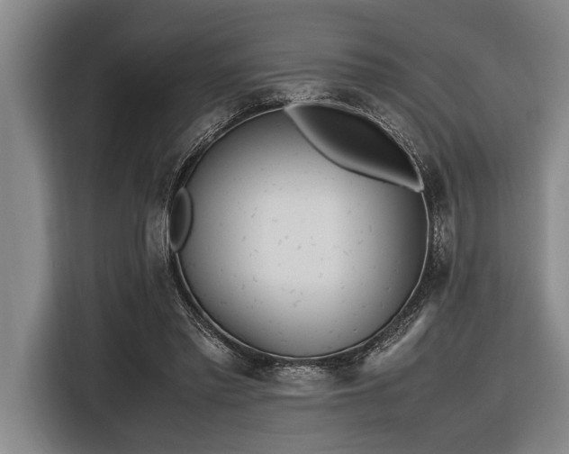 X0000116600397200912111118