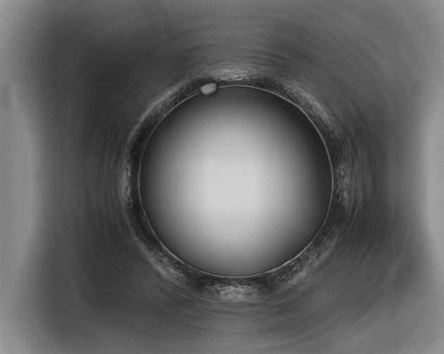 X0000116600400200912111118