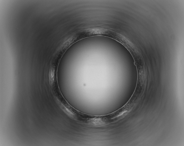 X0000116600406200912111118