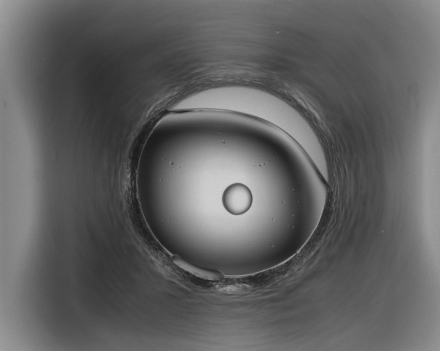 X0000116600407200912111118