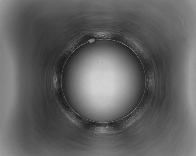 X0000116600408200912111118