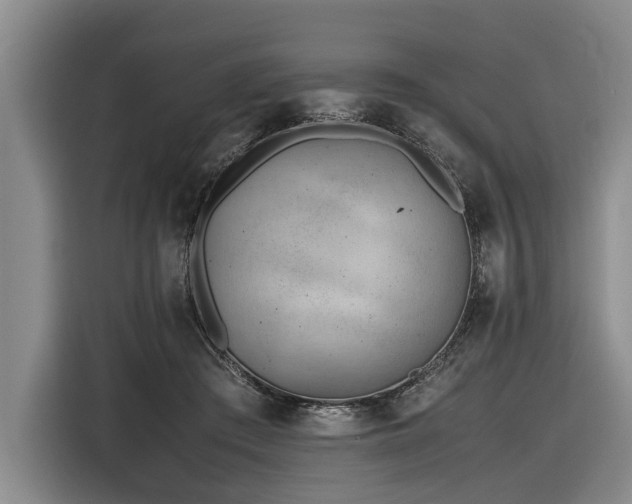 X0000116600409200912111118