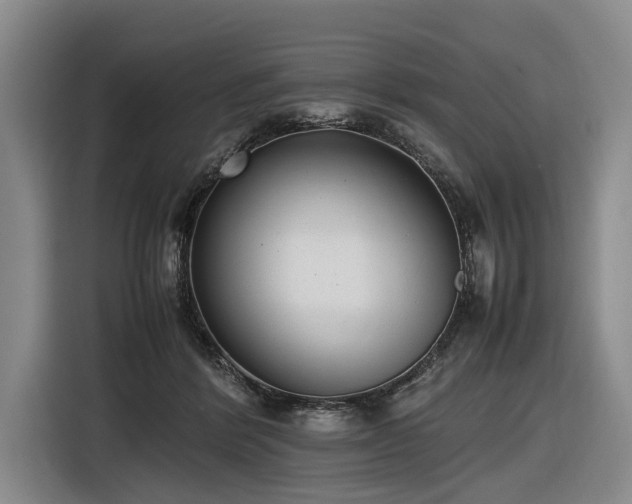 X0000116600412200912111118