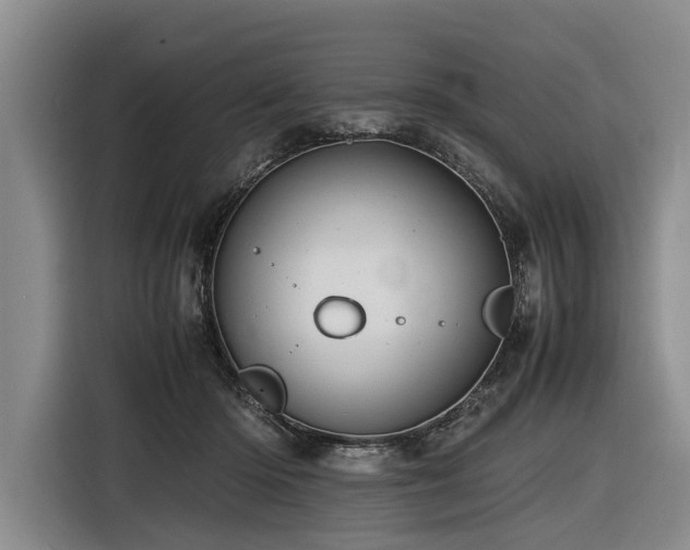 X0000116600414200912111118