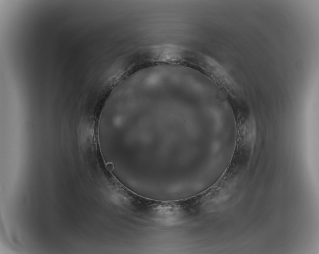 X0000116600415200912111118