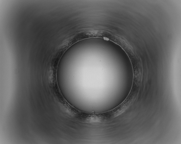 X0000116600416200912111118