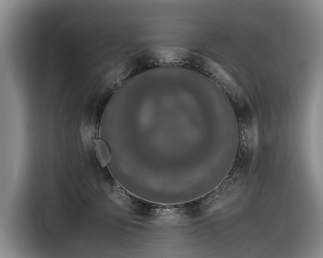 X0000116600419200912111118