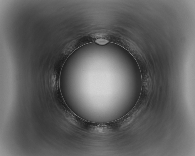X0000116600420200912111118