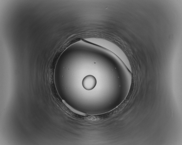 X0000116600421200912111118
