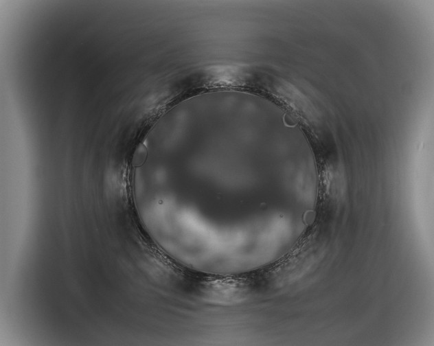 X0000116600423200912111118