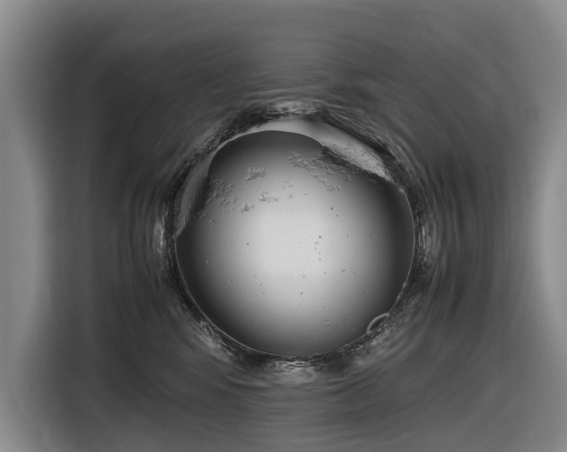 X0000116600424200912111118