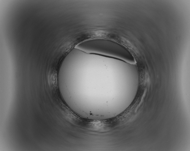 X0000116600425200912111118