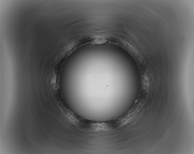 X0000116600428200912111118