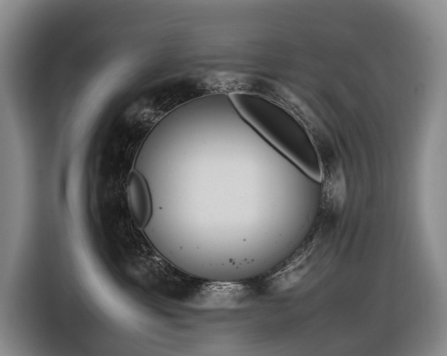 X0000116600429200912111117