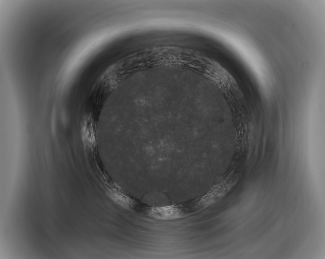 X0000116600431200912111117