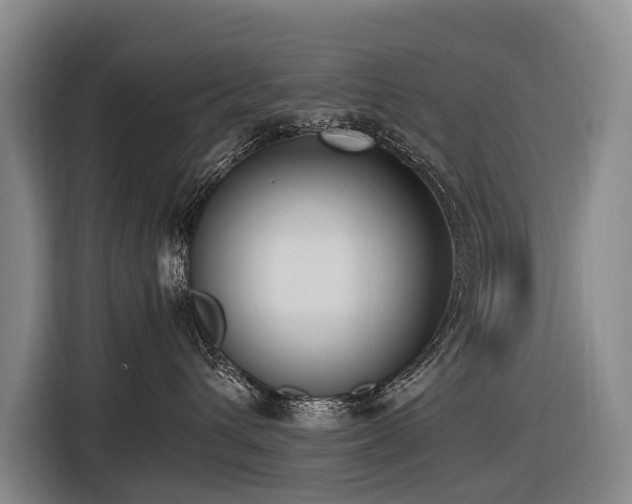 X0000116600432200912111117