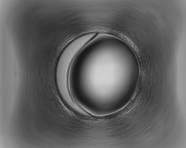 X0000116600433200912111117