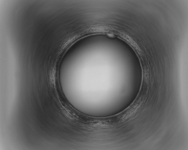 X0000116600434200912111117