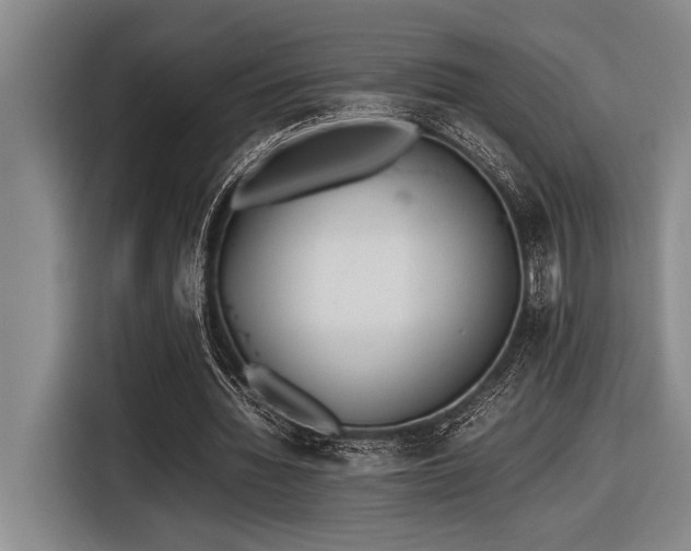 X0000116600436200912111117
