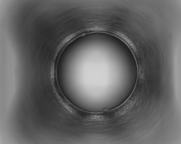 X0000116600437200912111117