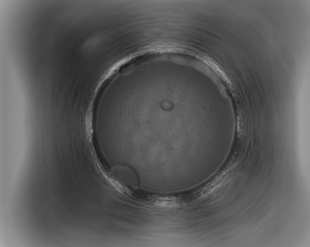 X0000116600438200912111117