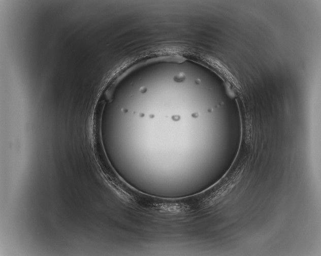 X0000116600439200912111117