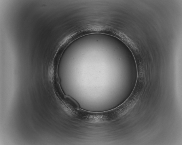 X0000116600440200912111117