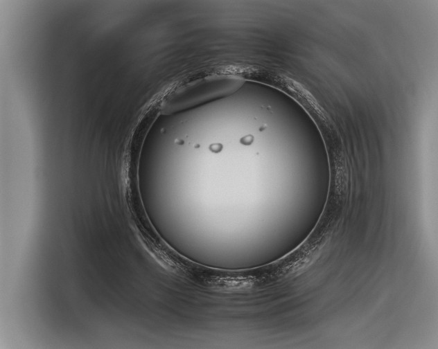 X0000116600443200912111117