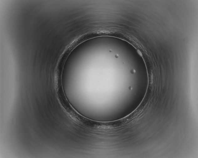 X0000116600444200912111117