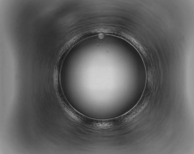 X0000116600445200912111117