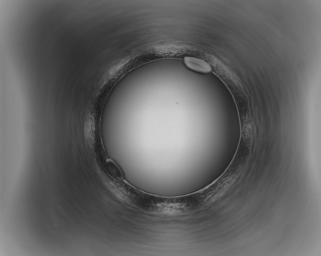 X0000116600448200912111117