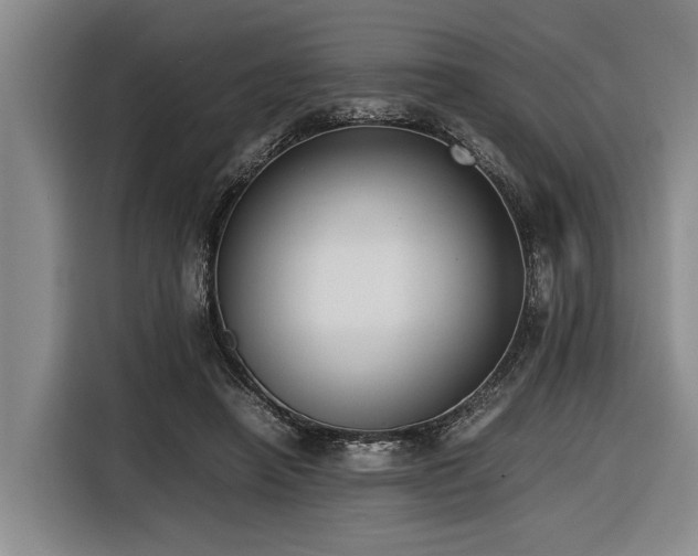 X0000116600450200912111117