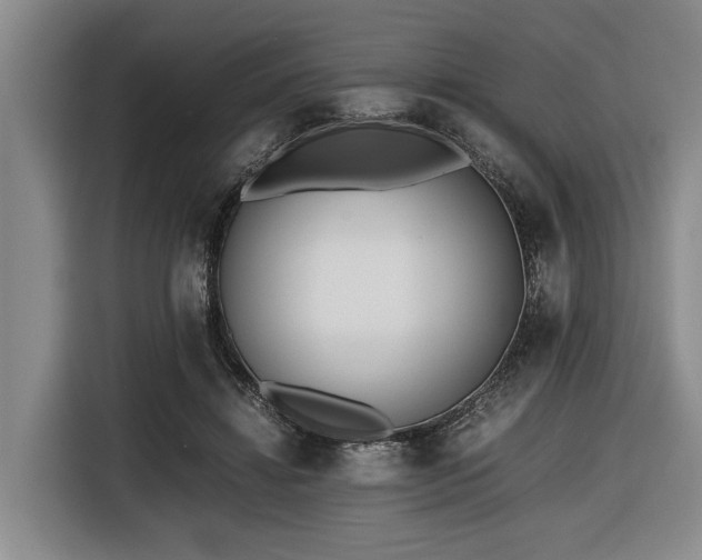 X0000116600452200912111117