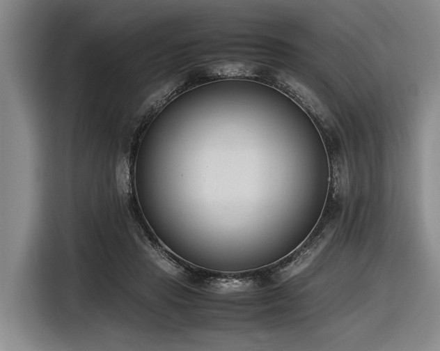 X0000116600453200912111117