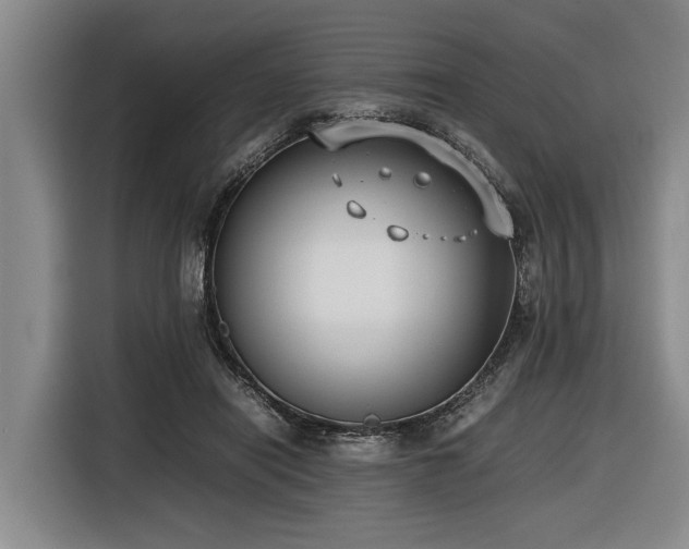 X0000116600454200912111117