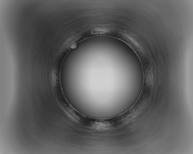 X0000116600455200912111117