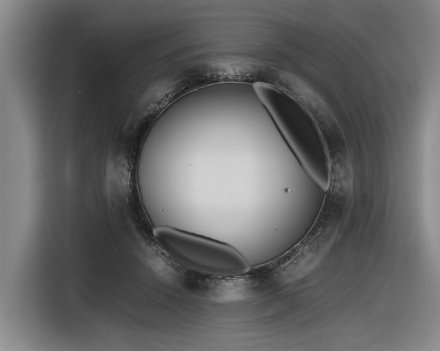X0000116600456200912111117