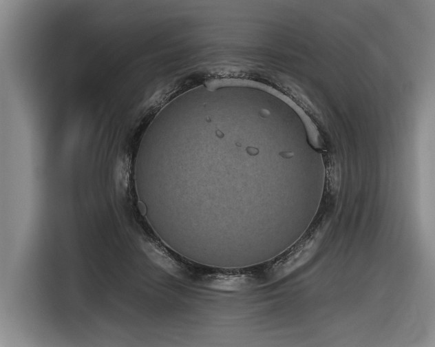 X0000116600458200912111117