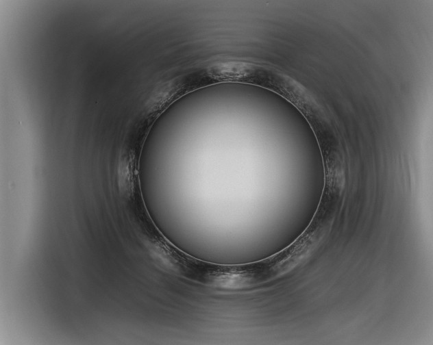 X0000116600460200912111117