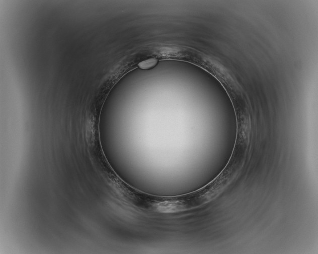 X0000116600461200912111117