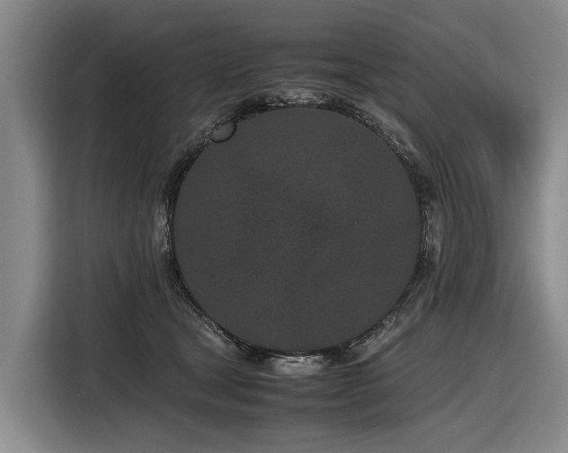 X0000116600465200912111117