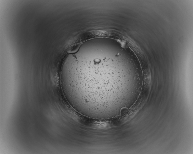 X0000116600469200912111117