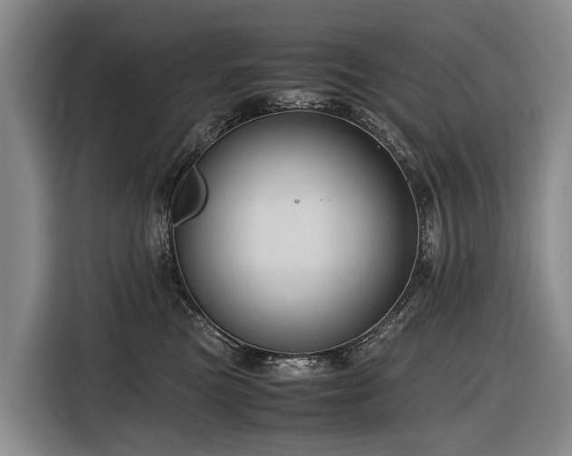 X0000116600473200912111117