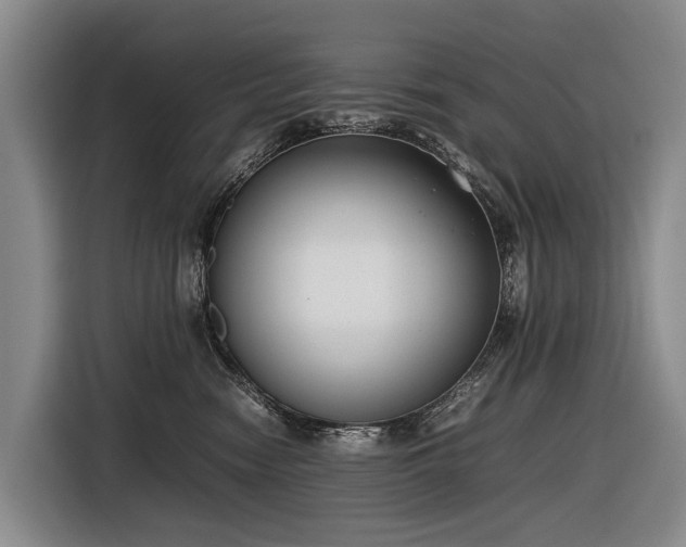 X0000116600474200912111117