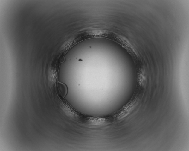 X0000116600476200912111117