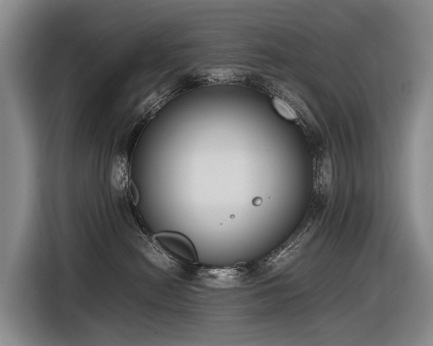 X0000116600478200912111117