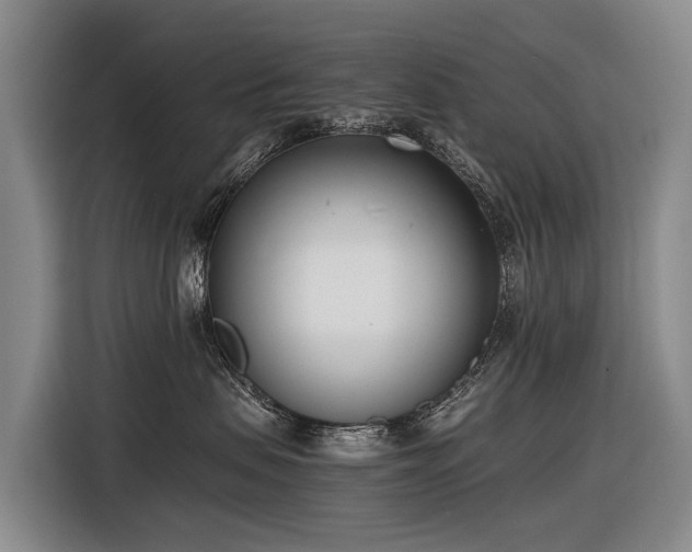 X0000116600479200912111117