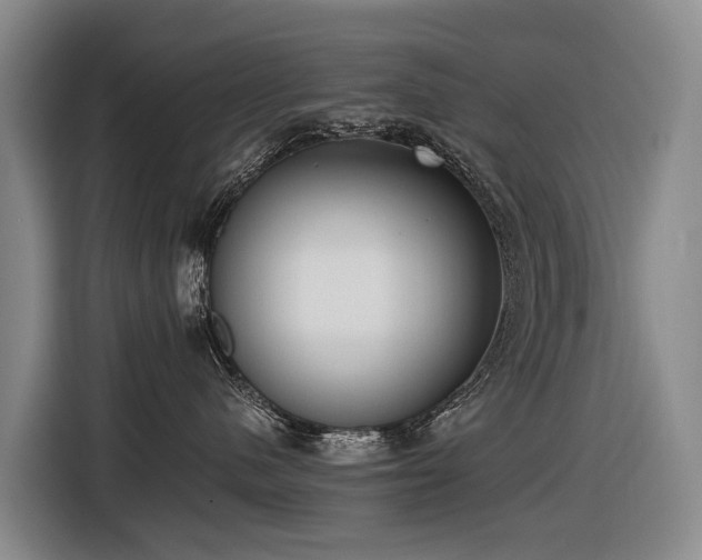 X0000116600480200912111117