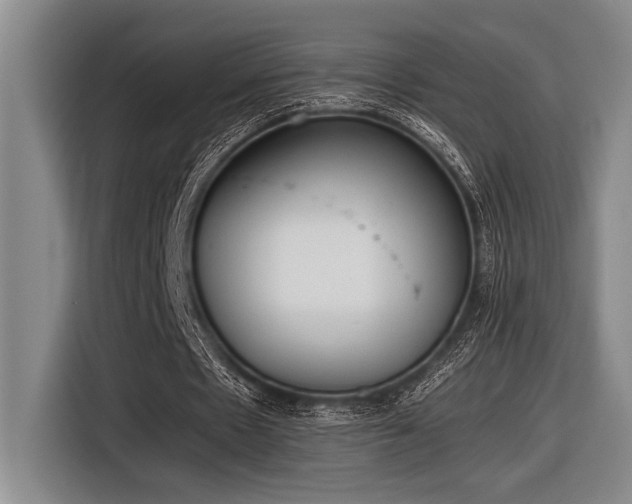 X0000116600481200912111117
